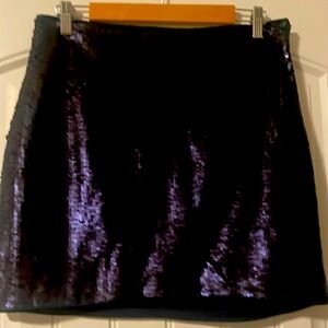 Sequin Skirt
